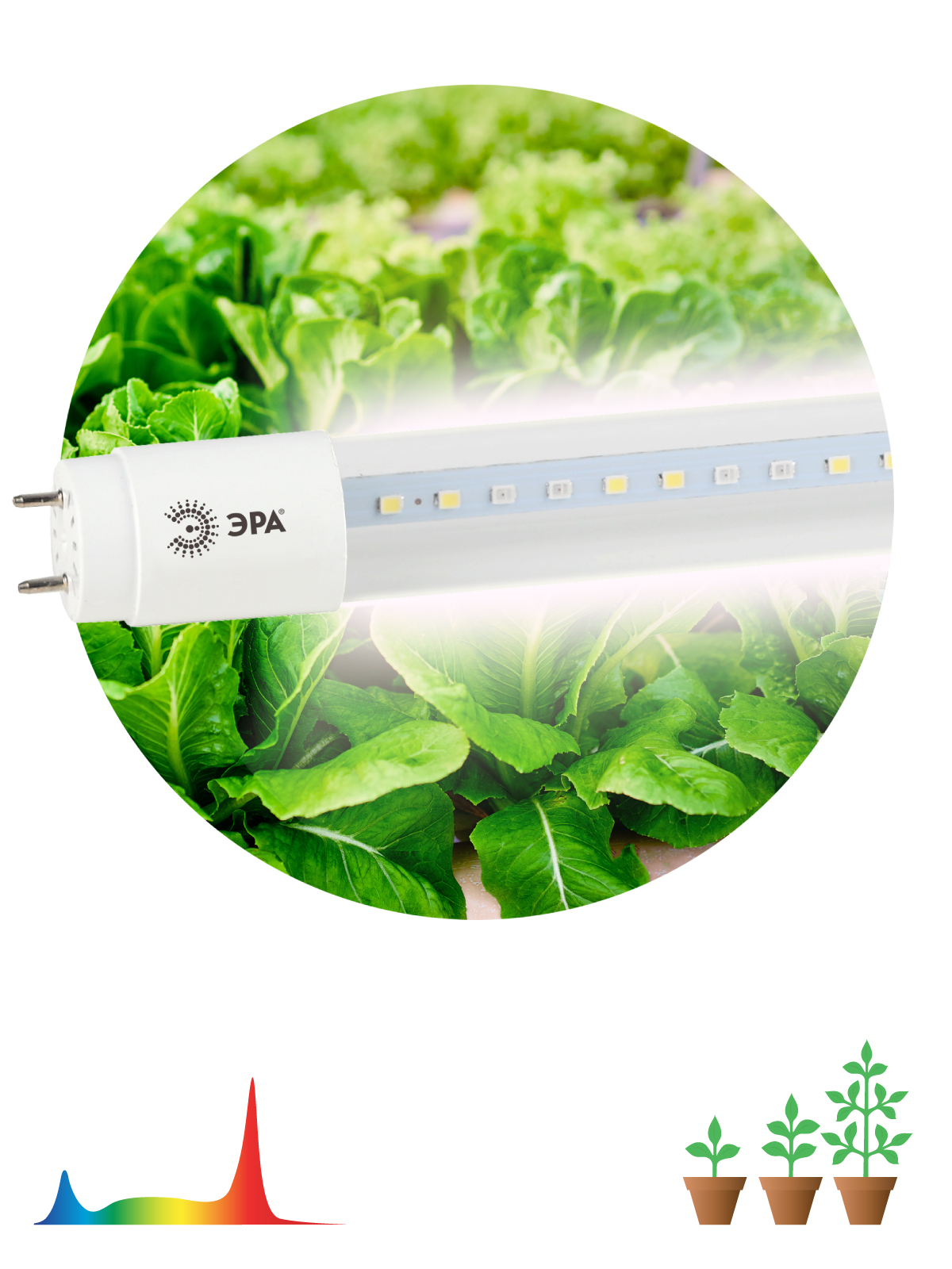 Лампа LED 18Вт G13 FITO полного спектра T8 ЭРА FITO-18W-Ra90-Т8-G13-NL (5/25/600)