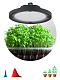 Фитопрожектор для растений светодиодный ЭРА FITO-50W-RB-LED-UFO красно-синего спектра 50 Вт IP65