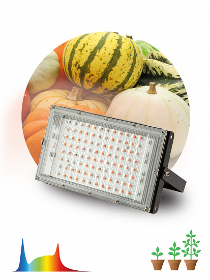 Фитопрожектор для растений светодиодный ЭРА FITO-80W-Ra90-LED-Y полного спектра