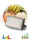 Фитопрожектор для растений светодиодный ЭРА FITO-80W-Ra90-LED-Y полного спектра