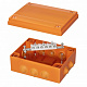 Коробка пластиковая FS с кабельными вводами и клеммниками, IP55, 240x190x90 мм, 6р, 450V, 32A, 10 мм