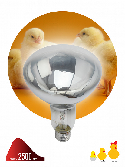 Инфракрасная лампа ЭРА ИКЗ 220-250 R127 E27, кратность 1 шт., для обогрева животных и освещения, 250